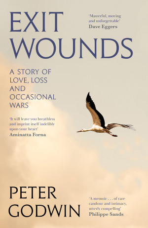 Exit Wounds: A Story of Love, Loss, and Occasional Wars by Peter Godwin